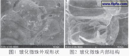 ?；⒅橥庥^形狀及內部結構